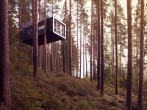 The Cabin The Cabin